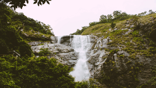 A scenic view of a waterfall cascading down a rocky cliff amidst lush green foliage.