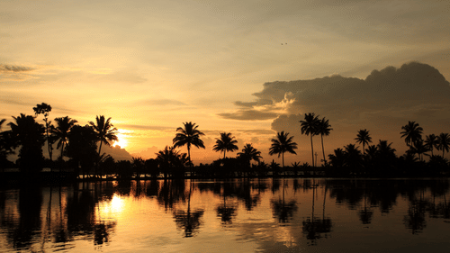 shutterstock 67986724