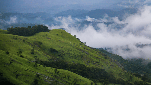 An overview of the hills and mountains of Wayanad with clouds covering the right side - 3-Days Trip From Coimbatore