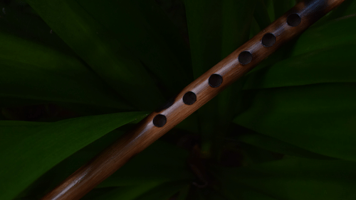 aswin-thekkoot-wfVREQs7KXQ-unsplash