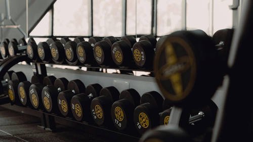 Rack of neatly arranged dumbbells in a gym with a mirrored wall in the background.