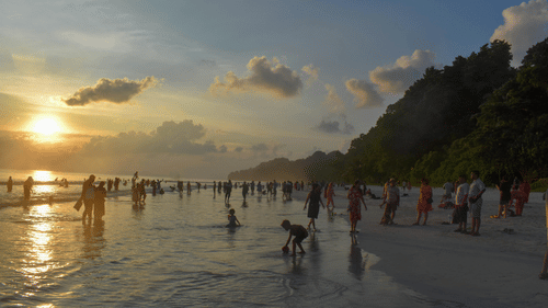 An overview of Radhanagar Beach with many people on the shore, forest cover on the right hand side, and the sun setting in the background.