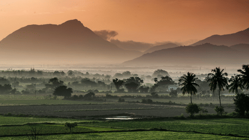 A landscape features distant mountains shrouded in mist, overlooking a valley with scattered trees and a hint of cultivated fields.