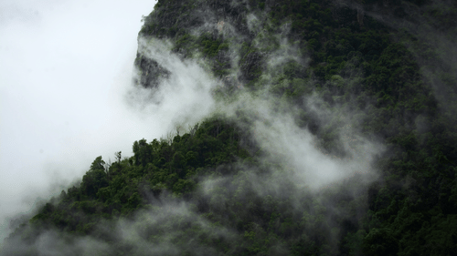 A mountain's peak is partially obscured by low-hanging clouds, revealing a textured slope with patches of dense vegetation.
