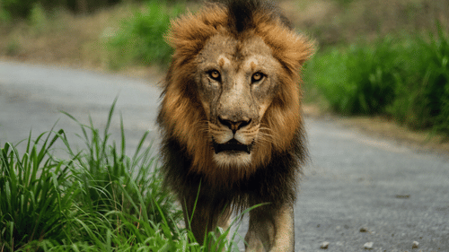 nashad-abdu-lbuXprjhtc4-unsplash