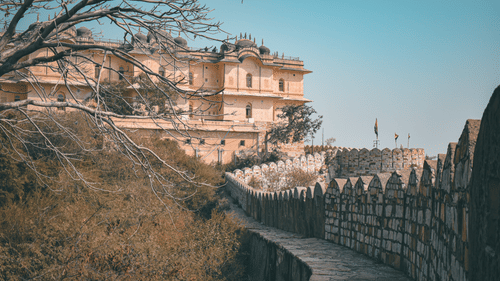 Stone path at Bala Qila under a blue sky with barren trees and shrubs on one side