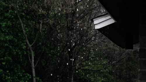 Rain splattering in Mawsynram 