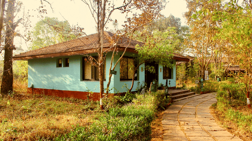 Reception at Infinity Resorts Kanha 3