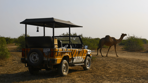 20171217 071943860 iOS