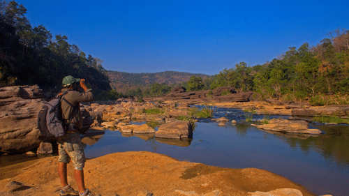 Walking on the Forsyth s Trail
