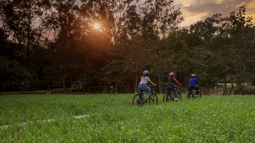 replace the existing cycle image with this