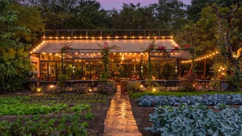 replace the first image with this