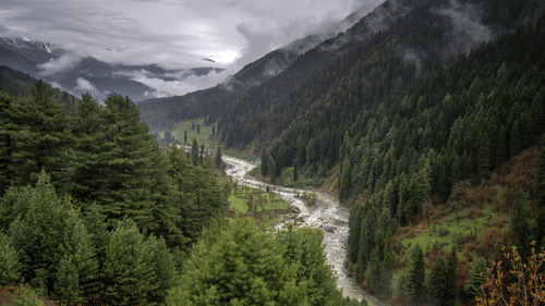 A valley with dense forest seen with a river running in between the hills, and fog or clouds above.