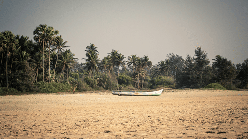 A solitary fishing boat on the Varca Beach with trees in the background