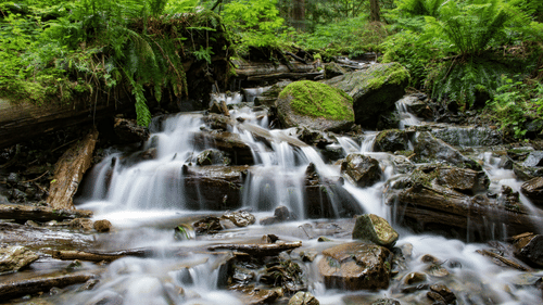 A scenic waterfall cascading over rocks surrounded by green foliage in a dense forest.