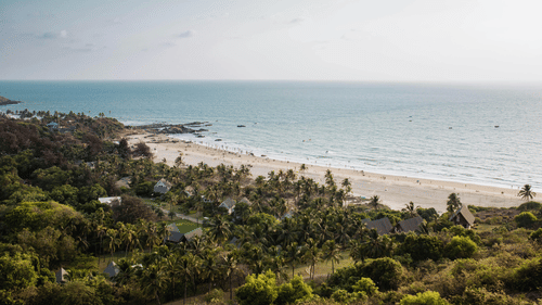 An elevated view of a wide, sandy beach lined with palm trees, meeting the ocean under a bright sky in the background.