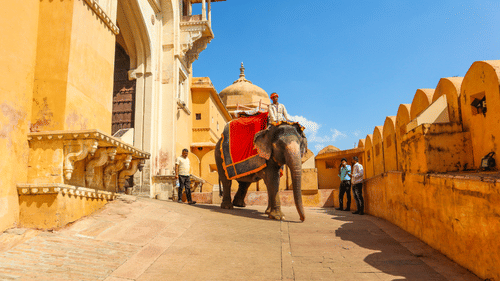 an elephant in the premises of a fort