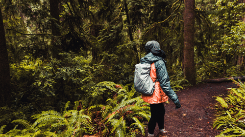 A woman trekking inside a forest with greenery all around