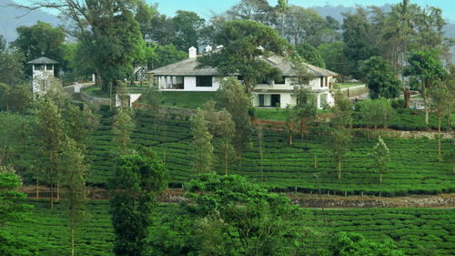 A view from afar of the bungalows at Parisons Plantation in Wayanad with trees in the background.