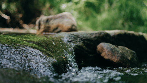 rocks in a river