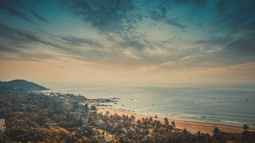 a view of Anjuna beach from a top of a hill, showing the beach and trees surrounding it