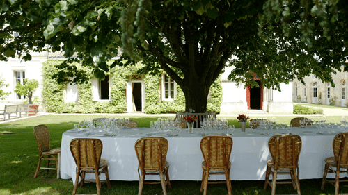 A peaceful outdoor seating area with rows of chairs under large trees, perfect for gatherings