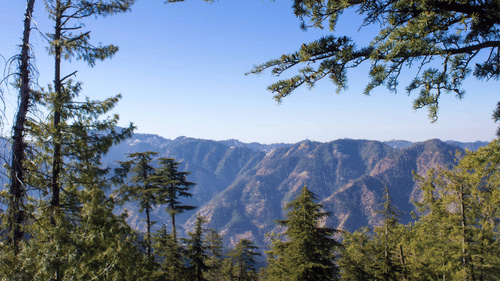 A landscape view of mountains and pine trees under the blue sky