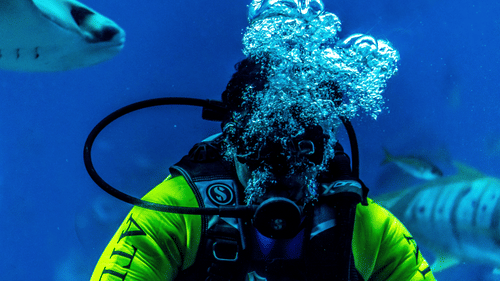 A close up of a scuba diver wearing full gear with a fish swimming close to him.