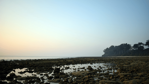 overview of the rocks on a beach in Neil Island with blue skies in the background