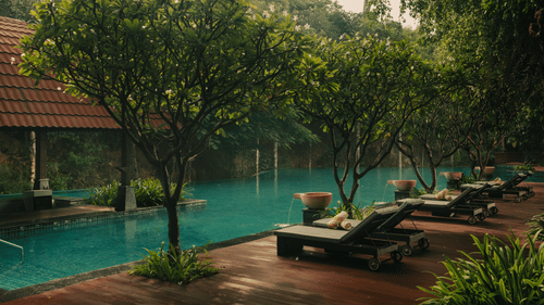 A peaceful view of the swimming pool area at The Ananta Udaipur. The water is a light tone bordered by a deck with several lounge chairs. Lush trees and foliage surround the pool creating a calm atmosphere. A building with a roof is visible in the backgrou