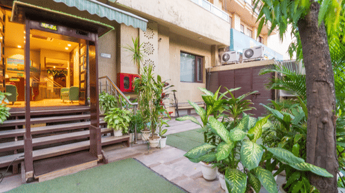 Exterior view of the cosy hotel with lush greenery, potted plants, and a welcoming entrance surrounded by natural charm.