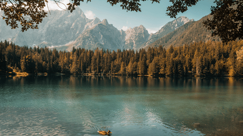A lake surrounded by trees with mountains in the background and a small boat floating on the water.