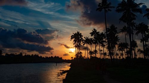 a setting sun with trees and backwaters in view