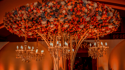 UPCC Decor (23)