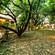 Tiger Camp Corbett Outside View