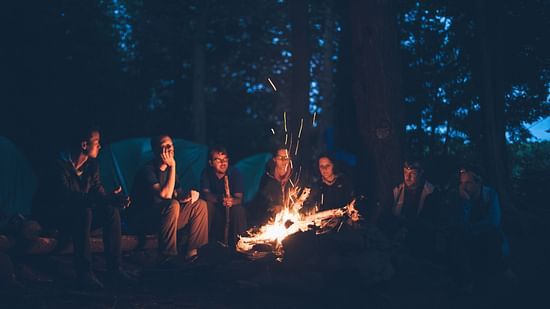A group of people are holding torches in a dark forest.