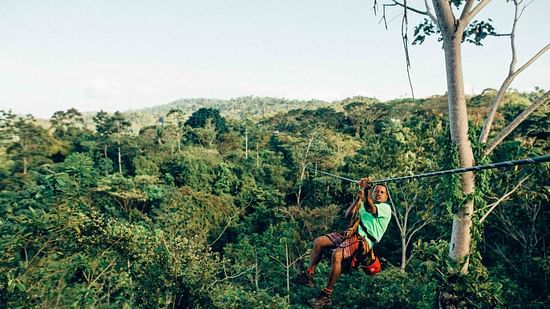 A person is on a zipline above a lush green forest.