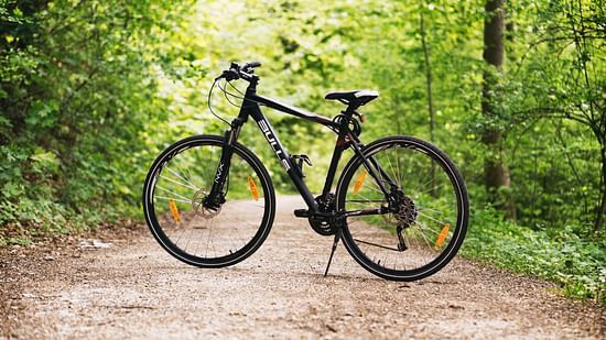 A bicycle parked on a path in a dense green forest.