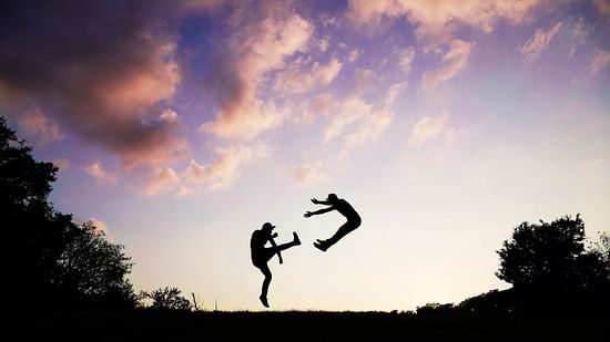 2-people-doing-karate-during-sunset-62376