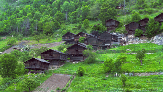 A small, rustic village of wooden houses nestled on a lush, green hillside covered in thick forest and fields.