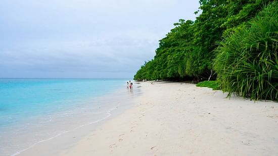 A family of four walking on Radhanagar beach with turquoise waters and forest cover on either side of them.