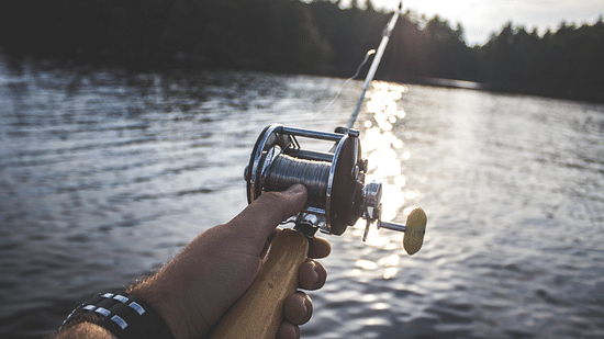 A person holding a fishing rod and fishing in a lake with trees in the background