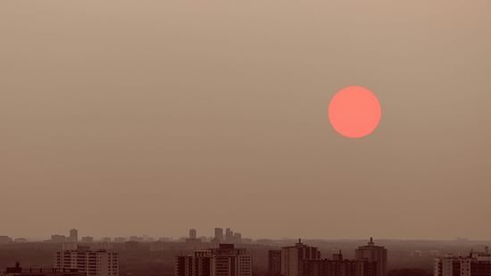 designecologist-Y1CLEQZX-jc-unsplash