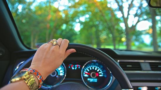 A woman's hand on a steering wheel with greenery showing outside the windscreen