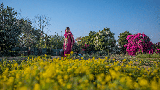 A staff member standing in the garden with flowers in the foreground - Karma Lakelands.