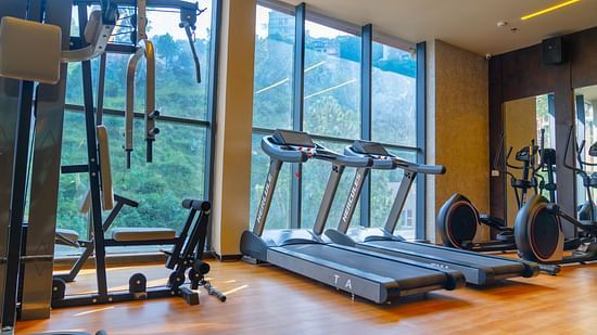 A fitness centre with various gym equippments at Montclair Ananta, Elite.