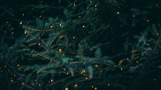 a close up shot of a a christmas tree with LED lights placed on the branches