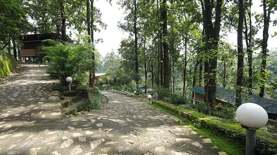 driveway leading to The Sal Woods Forest Resort & Spa