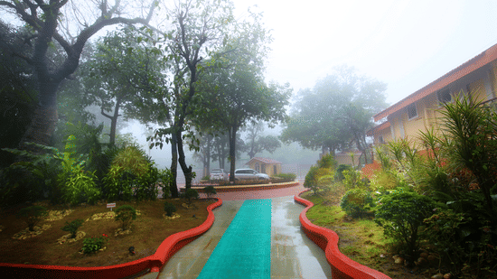 A landscaped pathway winds through a garden lined with trees and plants, with mist gently settling over the surroundings | Zara's Resort