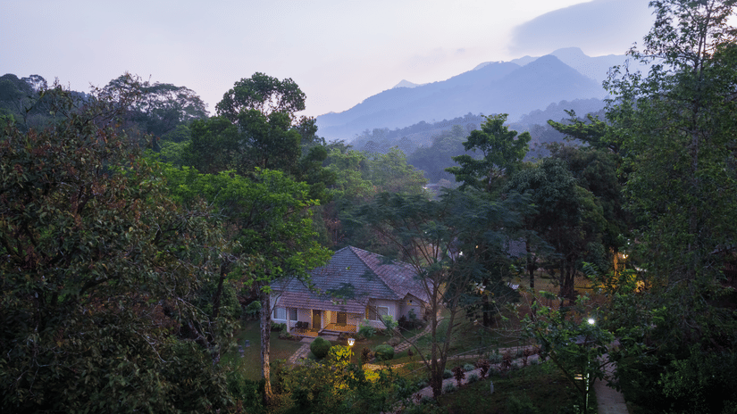 An aerial shot featuring trees and a glimpse of a building amidst the natural landscape - Abad Brookside Lakkidi, Wayanad